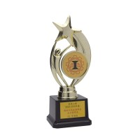 即日取塑膠獎杯 pc06z